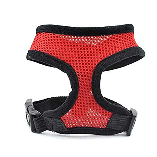 HELLOYOUNG CW002 Fashion Dog Vest Soft Air Nylon Mesh Pet Harness Dog Clothes Dog Harness Clothes for pet Dog (Red) von HELLOYOUNG