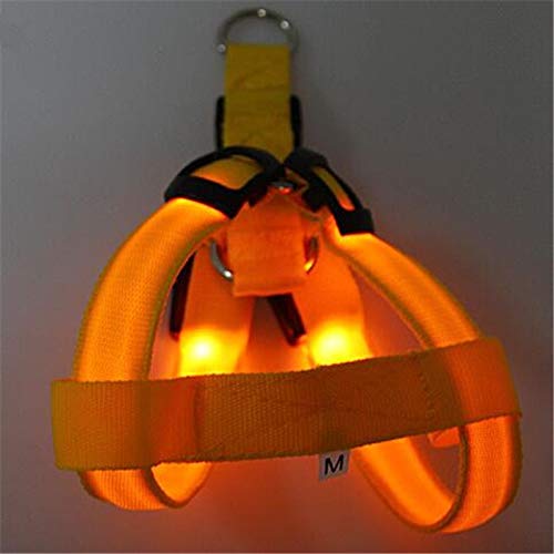 HELLOYOUNG CW005 Nylon LED Dog Harness Pet Cat Dog Collar Harness Vest Safety Lighted Dog Harness XS/S/M/L Wholesale (Yellow) von HELLOYOUNG