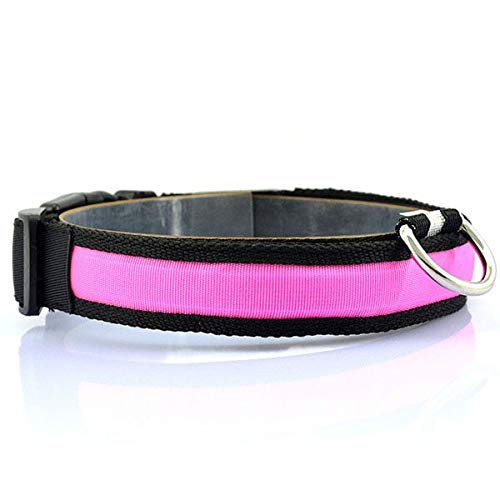 HELLOYOUNG Nylon LED Pet Dog Collar Night Safety Flashing Glowing Collars Necklace Dog Leash Dogs Luminous Collars Pet Products (07) von HELLOYOUNG