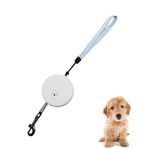 Dttra Mini Einziehbare Hundeleine mit Reflektierendem Seil 3 Meter Ausziehbare Rollleine Automatisch Versenkbare Hundeleine für Kaninchen, Eichhörnchen, Hamster, Welpen (Weiß) Dttra Mini Einziehbare Hundeleine mit Reflektierendem Seil 3 Meter Ausziehbare Rollleine Automatisch Versenkbare Hundeleine für Kaninchen, Eichhörnchen, Hamster, Welpen (Weiß) von Dttra