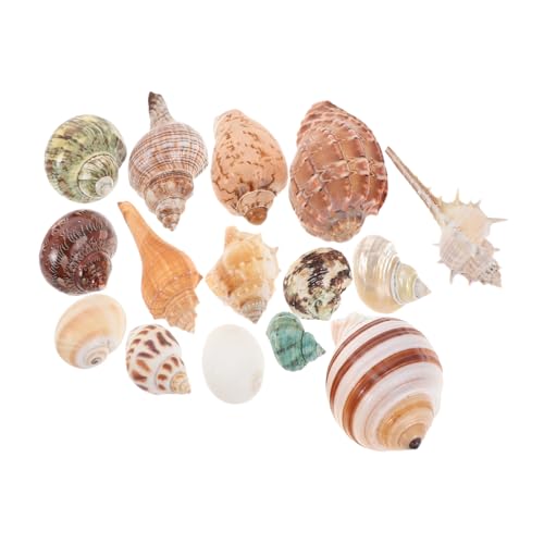 15 Stück Teiliges Bunter Naturmuscheln für Aquarien Dekoration Vielseitige Strandstil Seashells für DIY Projekte und Partys für Süß und Salzwasserumgebungen 15 Stück Teiliges Bunter Naturmuscheln für Aquarien Dekoration Vielseitige Strandstil Seashells für DIY Projekte und Partys für Süß und Salzwasserumgebungen von HEMOTON