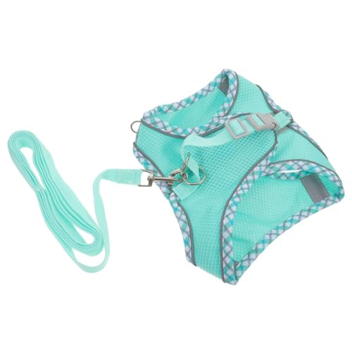 HEMOTON 1 Satz Hundegeschirr-Set Ausbildung Für Leine Führen Haustier Hund Weste Multifunktionales Hundegeschirr Hundewelpenweste Haustier Hund Zubehör Welpengeschirr Sky-Blue Polyester von HEMOTON