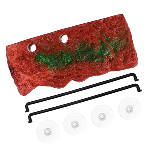 HEMOTON 1 Satz Kletterplattform für Schildkröten Aufsteckbare Sonnenbadeinsel für Aquarien Hochwertige Aufzuchtplattform für Wasserschildkröten und Andere Reptilien HEMOTON 1 Satz Kletterplattform für Schildkröten Aufsteckbare Sonnenbadeinsel für Aquarien Hochwertige Aufzuchtplattform für Wasserschildkröten und Andere Reptilien von HEMOTON