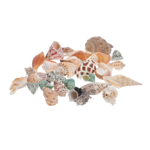 HEMOTON 1 Set Einsiedlerkrebs Muschel Dekorationen Für Aquarien Muscheln Meer Muschel Aquarium Couch Ornamente Aquarium Schmuck Muschel Einsiedlerkrebs Muschel von HEMOTON