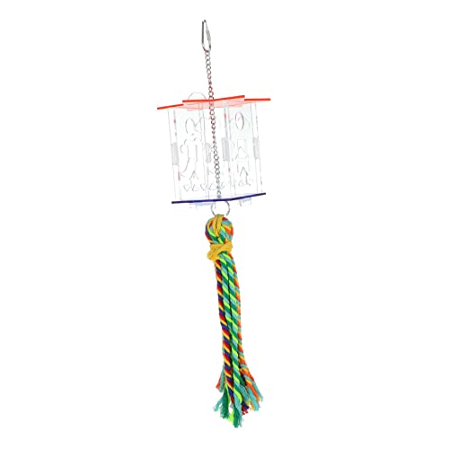HEMOTON 1 Set Papageienspielzeug Zum Aufhängen Papageienkäfig Zubehör Papageienzubehör Papageienkäfig Indoor Vogel Papageien Papagei Fliegendes Beißen Futtersuche HEMOTON 1 Set Papageienspielzeug Zum Aufhängen Papageienkäfig Zubehör Papageienzubehör Papageienkäfig Indoor Vogel Papageien Papagei Fliegendes Beißen Futtersuche von HEMOTON