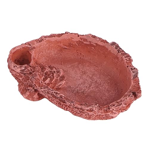 HEMOTON 1 Stück Futternapf Für Eidechsen Reptilien Reptilienbecken Gecko Zubehör Schildkröten Tank Eichhörnchen Eidechsen Wasser Futterspender Frettchen Futter Fisch Gecko von HEMOTON