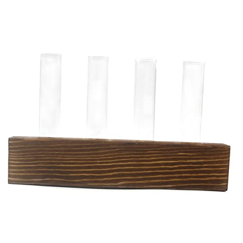 HEMOTON 1 Stück Holzvase Vasen Künstliche Pflanzen Aufhängen Eukalyptus-wandbehang Künstliche Blumen Pflanzenterrarium Globen Klare Vase Eukalyptus-wandbehänge Aquarium Glas von HEMOTON