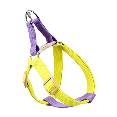 HEMOTON 1 Stück Hundegeschirr in Farbe Haustier Gürtel Hundehüftleine Cooles Hundegeschirr klein hundegurt hundelaufband Dog Toy Brustgurt für Welpen Hundeweste Polyesterband Violett von HEMOTON