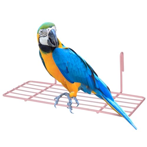 HEMOTON 1 Stück Papageienvogelkäfig Vogelbarsch Vogel Steht Papageien Haustier Vogelrahmen Vogelstange für Käfig Papageienspielständer Vogel Spielstand Vogelzubehör Rosa HEMOTON 1 Stück Papageienvogelkäfig Vogelbarsch Vogel Steht Papageien Haustier Vogelrahmen Vogelstange für Käfig Papageienspielständer Vogel Spielstand Vogelzubehör Rosa von HEMOTON