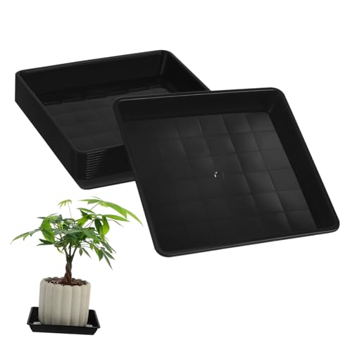 HEMOTON 12 Stück Bodenmatte Für Blumentöpfe Pflanzenkabine Tablett-untertassen Quadratischer Pflanzenuntersetzer Anlage Pflanzschalen Für Zimmerpflanzen Garten Tablett Tief Schwarz Plastik HEMOTON 12 Stück Bodenmatte Für Blumentöpfe Pflanzenkabine Tablett-untertassen Quadratischer Pflanzenuntersetzer Anlage Pflanzschalen Für Zimmerpflanzen Garten Tablett Tief Schwarz Plastik von HEMOTON