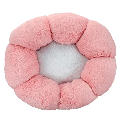 HEMOTON 1Stück Blumenform Haustierbett für Katzen und Kleine Warmes Gemütliches für Reisen und Camping Leichtes Design für Kleine Wie Mäuse HEMOTON 1Stück Blumenform Haustierbett für Katzen und Kleine Warmes Gemütliches für Reisen und Camping Leichtes Design für Kleine Wie Mäuse von HEMOTON