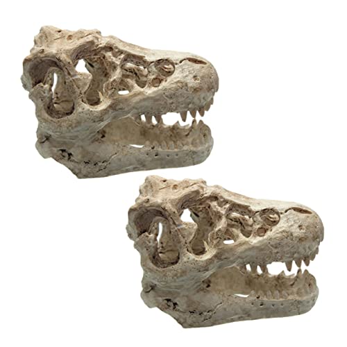 HEMOTON 2 Stück Dinosaurier -knochenschmuck Reptilienpanzer Versteckverzierung Klein Simulierter Schädel Dinosaurier-schädel-Handwerk Skelett Dekoration Aquariumdekor Aquarienschmuck Harz von HEMOTON