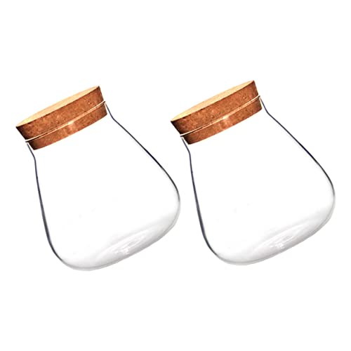 HEMOTON 2 Stück Kork Glasflasche Dekorative Vase Glasverschluss Kanister Aufbewahrungsflasche Dekorative Leere Vase Klare Terrarium Pflanzennährflasche Mikro Landschaftsflasche von HEMOTON