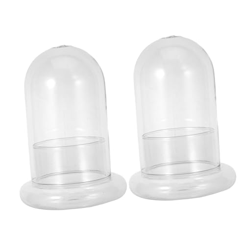 HEMOTON 2 Stück Mikro landschafts Flasche aus Hochwertigem Borosilikatglas DIY Ökologisches Moos Terrarium mit Langlebiger Miniatur glasbehälter für Pflanzen flaschengarten und Kreative von HEMOTON