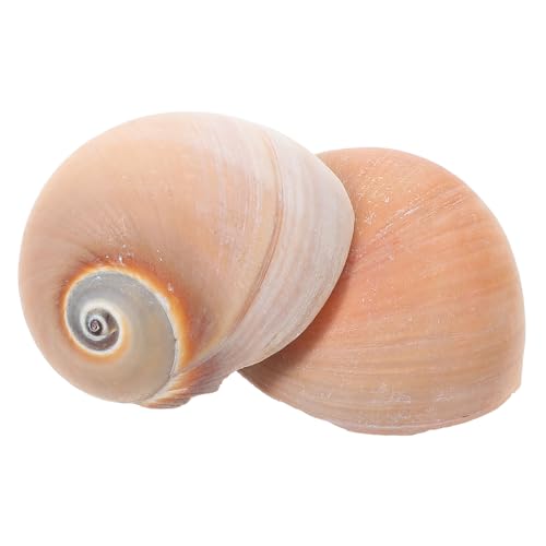 HEMOTON 2 Stück Miniatur Figuren für Aquarien Dekorative Conch Ornamente Pflegeleichte Aquarium Dekoration für Tropisches von HEMOTON