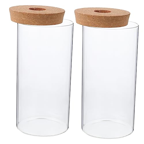 HEMOTON 2 Stück Öko-Flasche Aus Glas Links Vase Dekorativer Mikro-landschaftsbehälter Pflanzenbehälter Aus Moos Sukkulentenflasche Selber Machen Flasche Mit Mikrolandschaft Transparent von HEMOTON