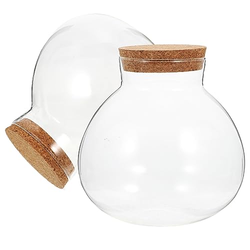 HEMOTON 2stücke Glasterrarium Für Desktop Moosflecken Und Pflanzenterrarium Leere Mikrolandschaftsflasche Für DIY Glasflasche Für Zuhause Mit Transparenter Sicht von HEMOTON