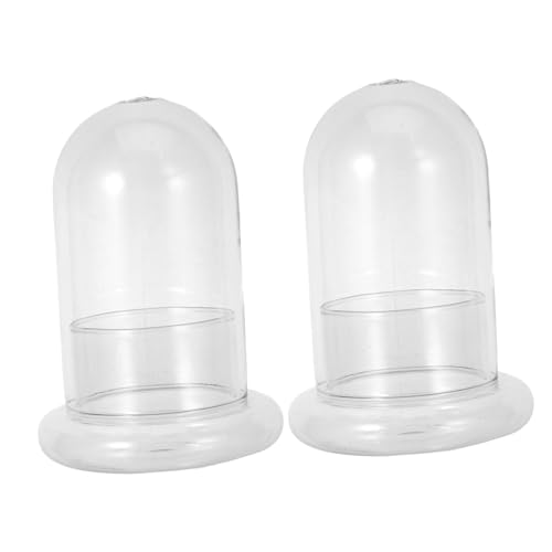 HEMOTON 2 Stück Ökologische Flasche Moss Mikro-Landschaftsflasche Terrarienflasche Cloche- Landschaft Flasche Mini saftiges Glasterrarium Terrarienglas aus Glas Borosilikatglas von HEMOTON