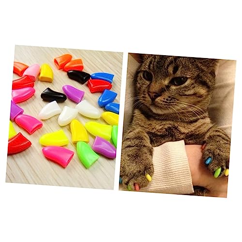 HEMOTON 20 Stück Nagelkappen für Katzen katzenpfoten Pflege Katzen pfotenpflege Katzenkrallenpflege krallenpflege für Katzen Katzenkrallenkappen Katzenkrallenabdeckungen Klauenkappen Grey von HEMOTON