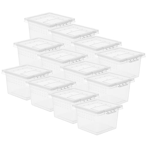 HEMOTON 20Stücke Teiliges Klarer Reptilienboxen Kleiner Echsenhalter Fütterungs und Aufzuchtbox für Spinnen Eidechsen Schildkröten und Frösche Langlebige Materialien von HEMOTON
