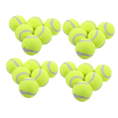 HEMOTON 22 Stück Teiliges Hundespielzeug Elastische Gummibälle für Interaktives Training und Spiel für Große Mittelgroße und Kleine Hunde Apportieren für Bewegungsspiele HEMOTON 22 Stück Teiliges Hundespielzeug Elastische Gummibälle für Interaktives Training und Spiel für Große Mittelgroße und Kleine Hunde Apportieren für Bewegungsspiele von HEMOTON