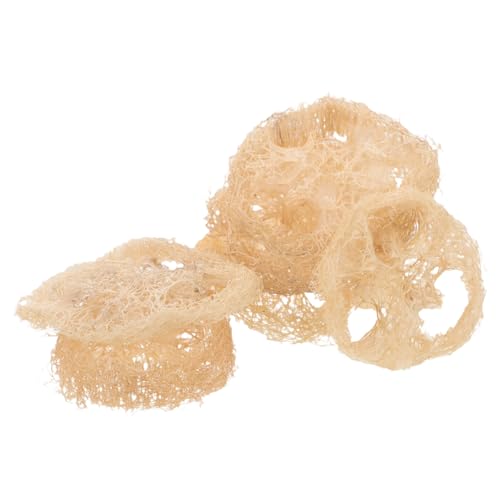 HEMOTON 24 Stück Beißspielzeug Für Haustiere Chinchilla Kauspielzeug Backenzahn Snacks Für Kleintiere Hamster Zähneknirschspielzeug Hasen Kauspielzeug Vogel Schredderspielzeug von HEMOTON