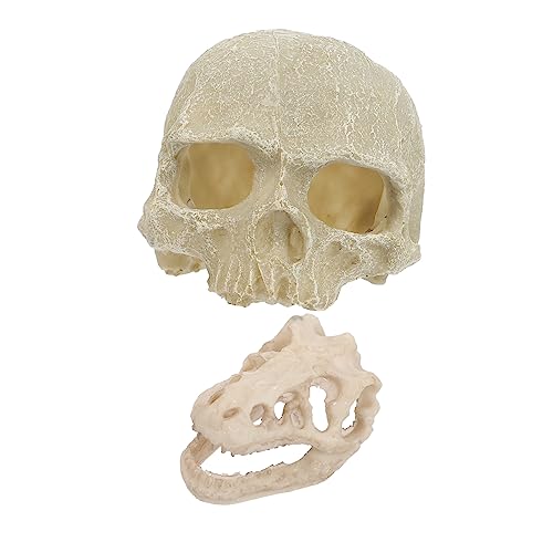 HEMOTON 2Stücke Schädelform Aquarium Hochwertiges Harz Ornament Für Fischtank Tischverzierung Und Aquariendekoration Für Lebendige Aquariengestaltung HEMOTON 2Stücke Schädelform Aquarium Hochwertiges Harz Ornament Für Fischtank Tischverzierung Und Aquariendekoration Für Lebendige Aquariengestaltung von HEMOTON