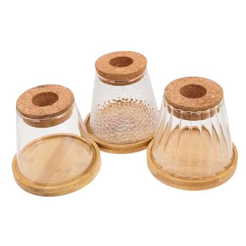 HEMOTON 3 Sätze Terrarien mit Praktischem Tray Hydroponische Pflanzenflasche für Kleine Pflanzen für Büro Zuhause Transparentes Design mit Korkverschluss von HEMOTON