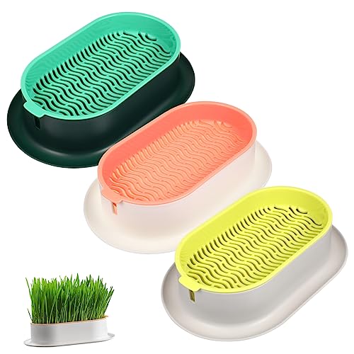 HEMOTON 3 Stück Hydroponische Pflanzbox Katzenpflanzenbox Wasserzucht Katzenminze drinnen Grasschalen pflanzkasten Glasterrarium Pflanzentopf für Katzen ohne Erde Gärtnerei für Katzengras von HEMOTON