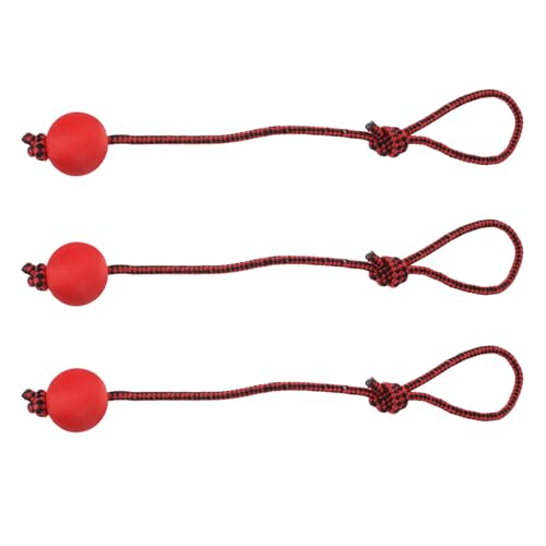 HEMOTON 3 Stück Kauspielzeug für Hunde Bissfester Trainingsball aus für Interaktive Spiele im Freien für Kleine Hunde Fördert und Kieferentwicklung HEMOTON 3 Stück Kauspielzeug für Hunde Bissfester Trainingsball aus für Interaktive Spiele im Freien für Kleine Hunde Fördert und Kieferentwicklung von HEMOTON