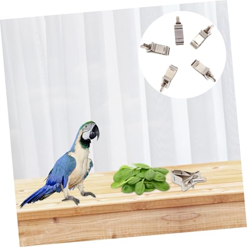 HEMOTON 5 Stück Teiliges Edelstahl Klammer Papageien Gemüse Obsthalterung Langlebige Vogel futterklammern Installieren Geeignet für Vögel und Kleintiere im Käfig von HEMOTON