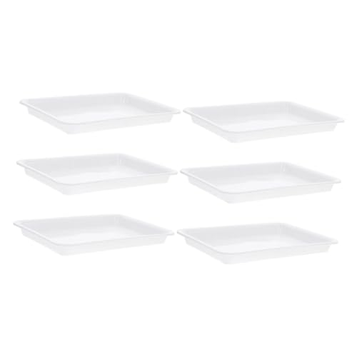 HEMOTON 6 Stück Blumentopf Tablett pflanzenuntersetzer Untersetzer für Pflanzen Auffangschale für Pflanzentopf Untertasse Bonsai Baum Wasserauffangschale für Pflanzen Pflanzschalen pp Weiß HEMOTON 6 Stück Blumentopf Tablett pflanzenuntersetzer Untersetzer für Pflanzen Auffangschale für Pflanzentopf Untertasse Bonsai Baum Wasserauffangschale für Pflanzen Pflanzschalen pp Weiß von HEMOTON
