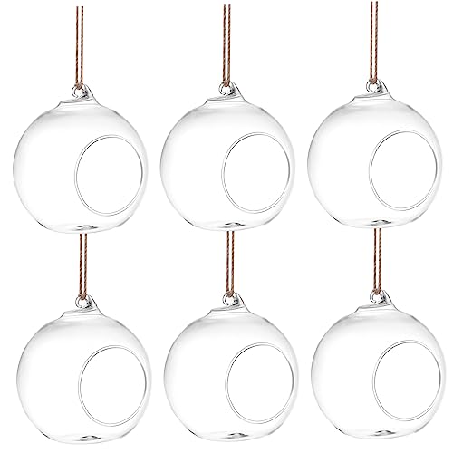 HEMOTON 6 Stück Hydrokultur Glasvase LED Gartenliebhaber Solarblatt Einziehbar Topfpflanzenliebhaber Terrarien Tier Künstliche Hängepflanzen Geländer Anzucht Pflanzenständer Für von HEMOTON
