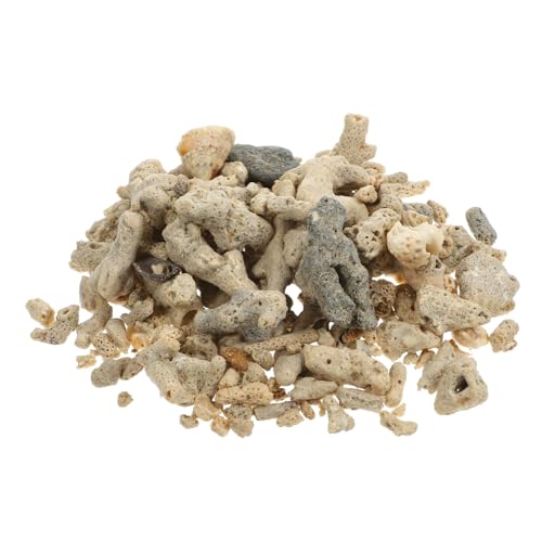 HEMOTON Aquarium Filtermaterial Korallenkies Natürliche Filtersteine für Fischbecken Helle Farbe Struktur Schadstoffabsorbierend Klareres Wasser Dekoratives Korallenlayout Zufällige und HEMOTON Aquarium Filtermaterial Korallenkies Natürliche Filtersteine für Fischbecken Helle Farbe Struktur Schadstoffabsorbierend Klareres Wasser Dekoratives Korallenlayout Zufällige und von HEMOTON