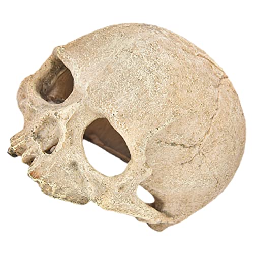HEMOTON Aquaskull Dekoration für Aquarien Harz Statue als Versteck für Garnelen und Fische Stilvolle Aquariengestaltung Langlebig für Reptilien und Kleine von HEMOTON