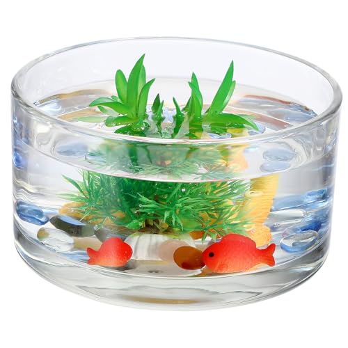 HEMOTON Blumentopf Aus Glas Aquarium Einzel Kugelförmiges Terrarium Luftpflanzen Terrarienglas Schale Vase Röhrenvasen Vasen Hydroponik -anbausystem Dekoration Vase Glas Transparent von HEMOTON
