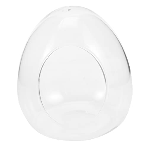 HEMOTON Brucea ökologische Flasche drinnen Dekorative Flasche Pflanzen Moos ökologische Flasche Terrarien Glasbehälter kreative Landschaftsflasche Glasterrarium mit Kork Mikroflasche von HEMOTON