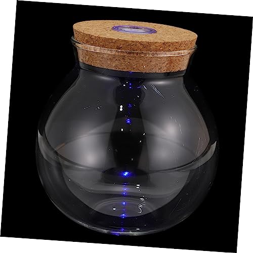 HEMOTON Bunte Ökologische Dekoration Dekorative Vase Aufbewahrungsflasche Landschaftshandwerk Flasche Einfache Pflanze Terrarium Mikrolandschaftsbehälter Mikrolandschaftsbehälter Glas von HEMOTON