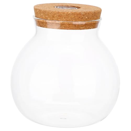 HEMOTON DIY LED Terrariumflasche für Mikrolandschaften Glascontainer mit LED Licht für Kreative Pflanzen und Aquarien Dekoration für Innen und Außenbereiche von HEMOTON
