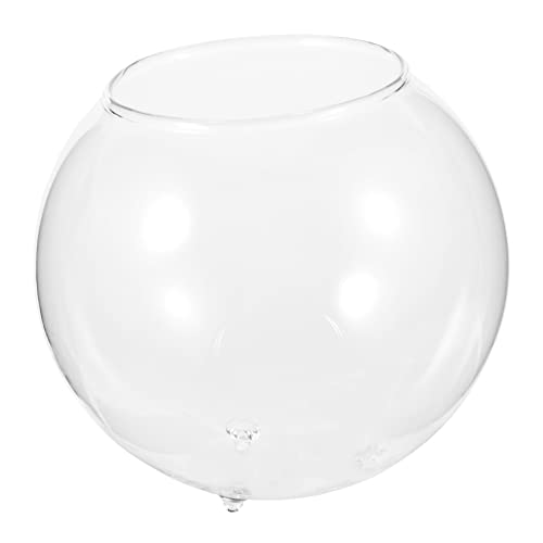 HEMOTON Glas Fischtank Terrarium Für Zuhause Stilvolle Und Vielseitige Glasschale Für Dekoration Langlebig Und Pflegeleicht Für Fische Oder Pflanzen von HEMOTON