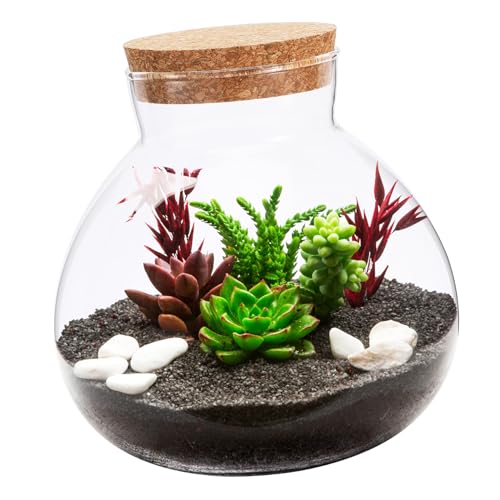 HEMOTON Eco-Flasche Flasche Moospflanze zylindrisch Terrarien drinnen hydroponischer terrariumbehälter Anlage leeres Glas Mikro-Landschaftspflanzerflasche Leere Flasche selber Machen Kork von HEMOTON