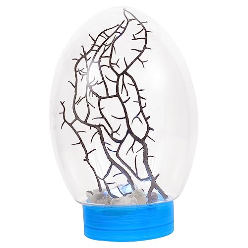 HEMOTON Ecosphere Geschlossenes Aquatisches Ökosystem Mini Fischtank mit LED Beleuchtung für Zuhause Kompakte Tischdekoration für Kleine Räume und von HEMOTON