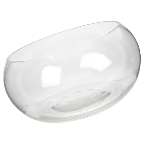 HEMOTON Glasfischschale für Hydroponische Pflanzen Transparente Terrarium Dekoration für Desktop Aquarium für Fische Garnelen Schildkröten und Pflanzen im Home Office von HEMOTON