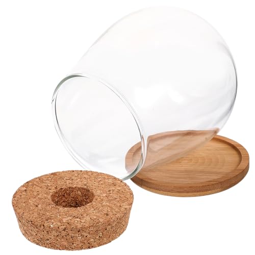 HEMOTON Glasterrarium Mit Holz Tablett Für DIY-pflanzenbehälter Mikrolandschaftsflasche Aus Klarem Glas Edles Terrarienglasbehälter Für Indoor-Garten Ökologische Moosflasche Als von HEMOTON