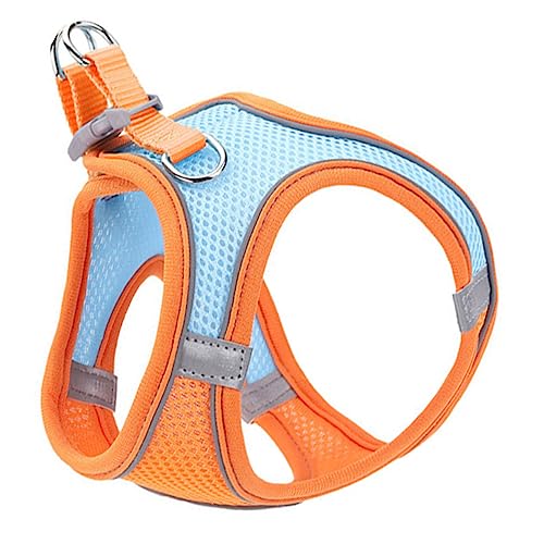 HEMOTON Hundewestenleine Für Welpen Und Katzen Reflektierende Haustierwestenleine Atmungsaktives Material Bequeme Haustierleine Für Tägliche Spaziergänge Und Anlässe HEMOTON Hundewestenleine Für Welpen Und Katzen Reflektierende Haustierwestenleine Atmungsaktives Material Bequeme Haustierleine Für Tägliche Spaziergänge Und Anlässe von HEMOTON