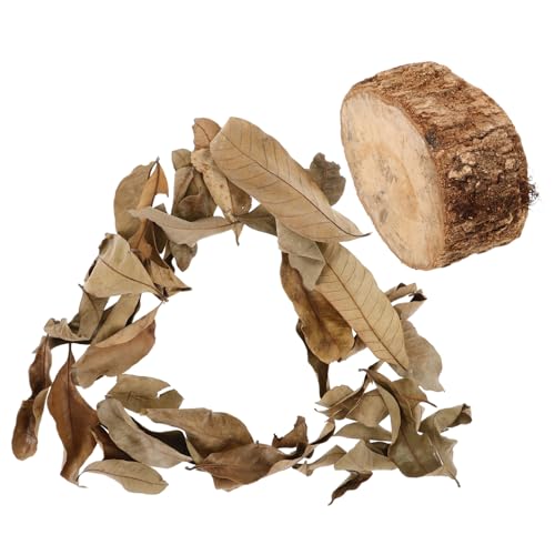 HEMOTON Holz Sonnenplatz für Schildkröten Terrarium Baskingsplattform aus Naturholz für Reptilien als Aquarium Deko und Installieren Geeignet für Kleine Schildkröten und Aquarienbewohner HEMOTON Holz Sonnenplatz für Schildkröten Terrarium Baskingsplattform aus Naturholz für Reptilien als Aquarium Deko und Installieren Geeignet für Kleine Schildkröten und Aquarienbewohner von HEMOTON