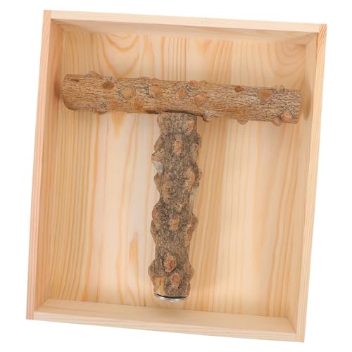 HEMOTON Holz Vogel Sitzstange für Papageien Natürlicher Trainingsstand für Nymphensittiche und Kleine Vögel für Käfig Schreibtisch oder Sicheres und Kreatives für Vögel von HEMOTON
