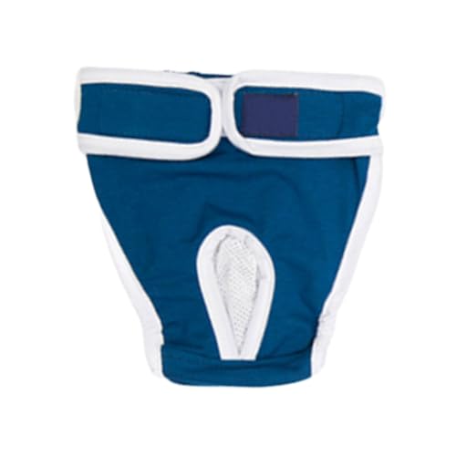 HEMOTON Hündinnen Hygienische Wiederverwendbare Physiologische Hose für S Hochsaugfähig Bequem Schützend für Teppiche und Möbel HEMOTON Hündinnen Hygienische Wiederverwendbare Physiologische Hose für S Hochsaugfähig Bequem Schützend für Teppiche und Möbel von HEMOTON