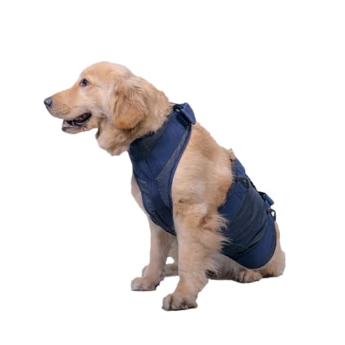 HEMOTON Hunde Hilfsleine für Alte und Kranke Tiere Tragbarer Medizinischer Gürtel S für und Beim für Haustierbedarf HEMOTON Hunde Hilfsleine für Alte und Kranke Tiere Tragbarer Medizinischer Gürtel S für und Beim für Haustierbedarf von HEMOTON