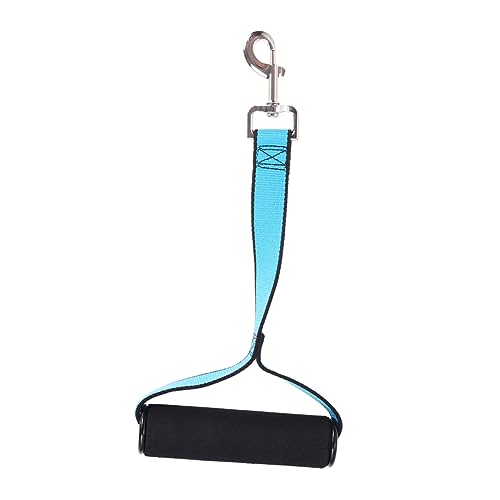 HEMOTON Hunde Zubehör Kurze Elastische Hundeleine für Training und Kleine Himmelblau für Mittlere bis Große Hunde mit Rostfreiem Metallhaken HEMOTON Hunde Zubehör Kurze Elastische Hundeleine für Training und Kleine Himmelblau für Mittlere bis Große Hunde mit Rostfreiem Metallhaken von HEMOTON